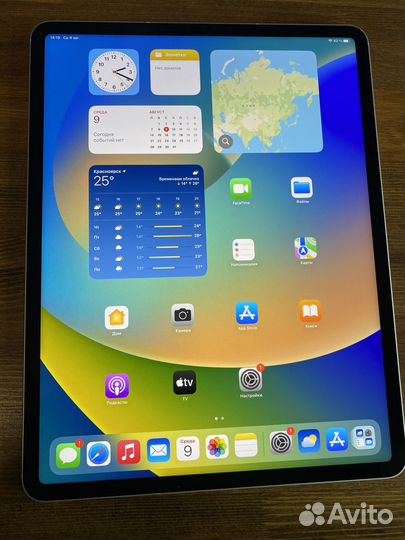 iPad Pro 12.9 M1 2021 1TB 16Gb Wi-Fi + Cellular
