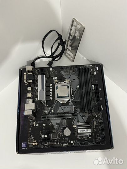 Материнская плата asus prime B365M-A