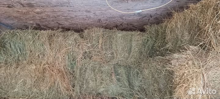 Сено в тюках