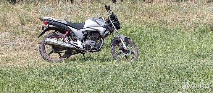 Irbis 200 GS