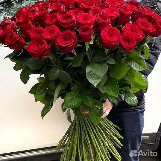 101 роза цветы букеты доставка 25 51 101 роза