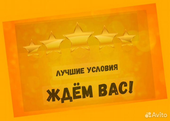 Этикеровщик без опыта Хорошие условия+Спецодежда