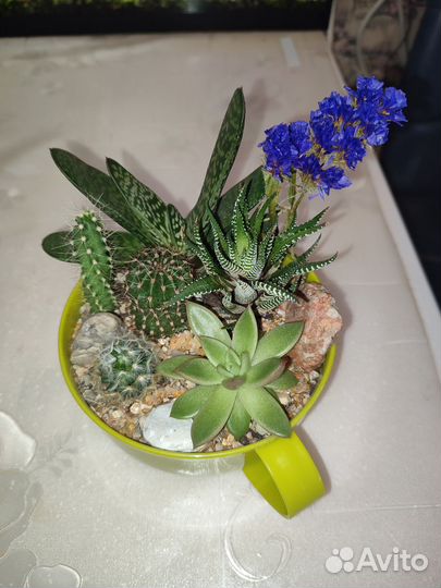 Мини садики