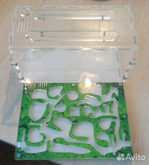 Муравьиная ферма и муравьи