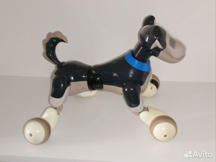 Игрушка робот собака Zoomer Овчарка Шэдоу Shadow