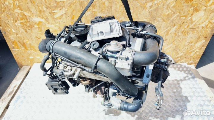 Двигатель Volkswagen Golf 5 2006 BRU 1.9