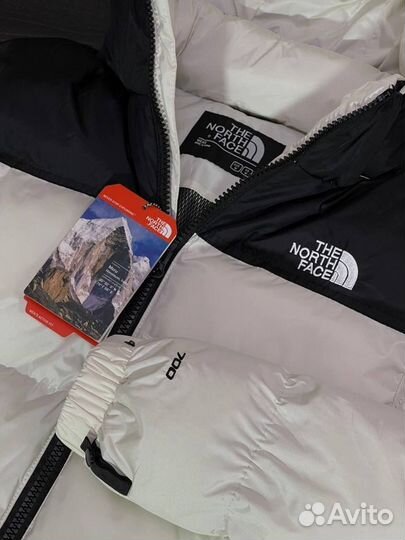 Зимняя куртка The North Face 700