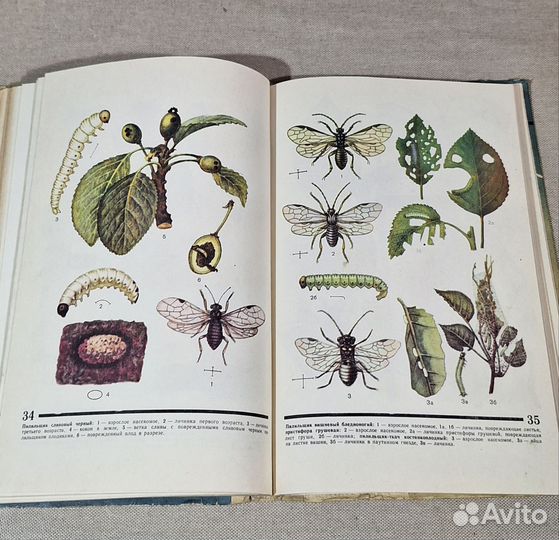 Книга Атлас вредителей плодовых и ягодных культур