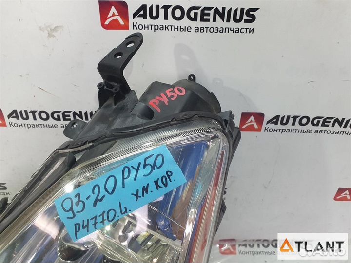 Фара передняя левая nissan fuga