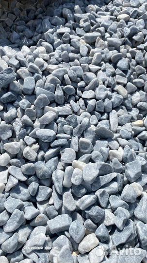 Крошка галтованная