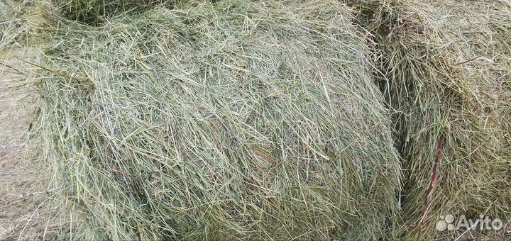 Сено в рулонах