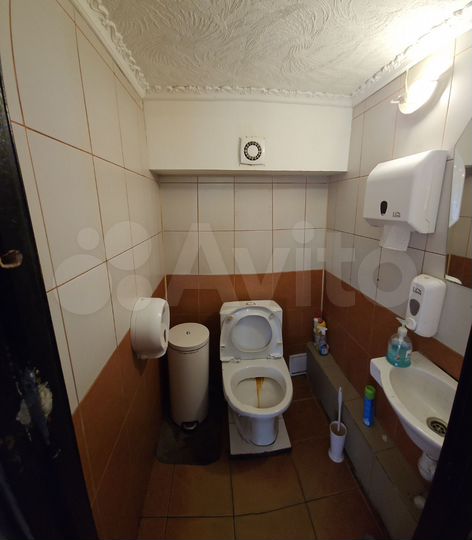 Общепит, 150 м²