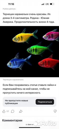 Аквариум (со всем содержимым)