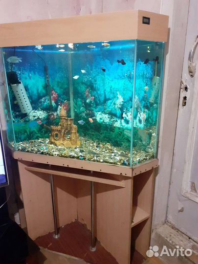 Аквариум для рыбок