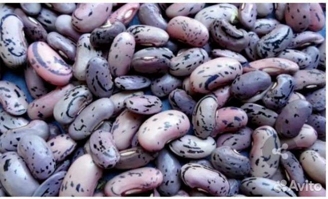 Турецкие бобы вьющаяся фасоль семена