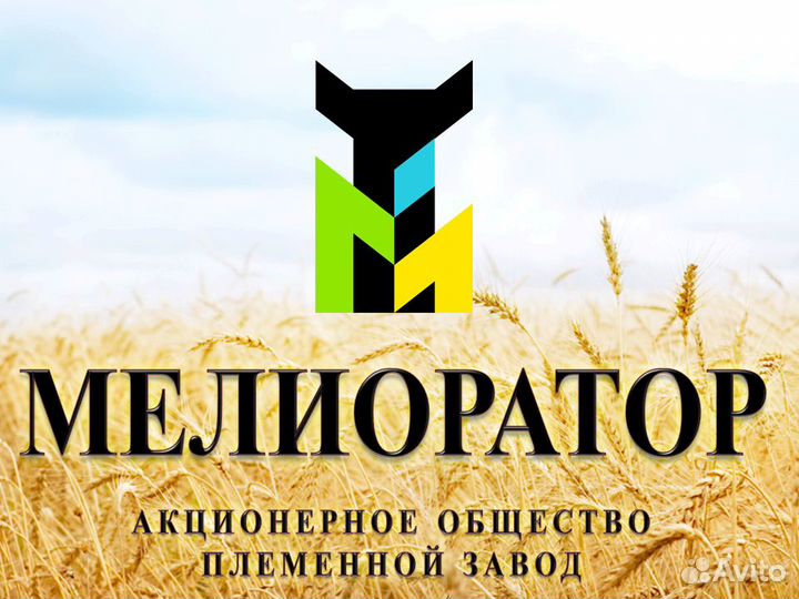 Оператор по искусственному осеменению крс