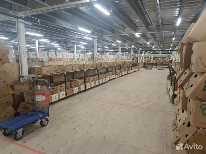 Подработка Новый Участок Ежедневная Оплата Склад