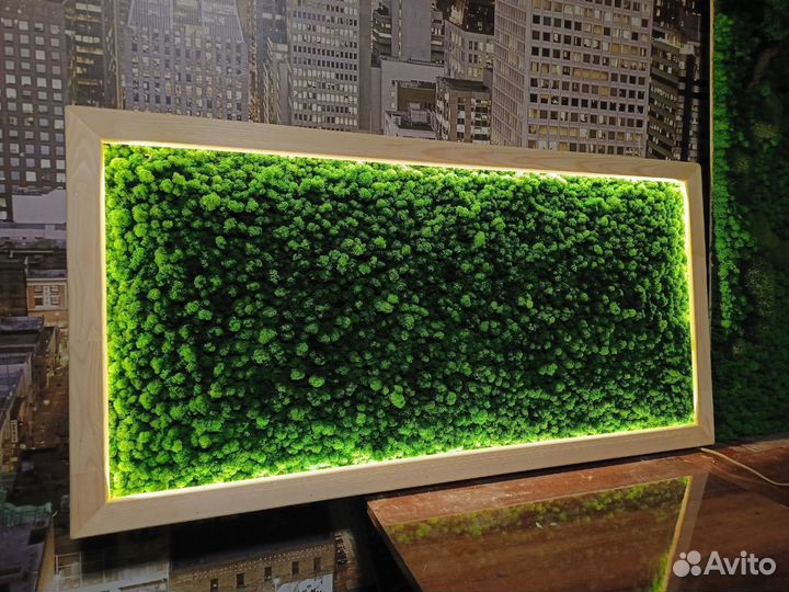Панно из мха с подсветкой 120*60см