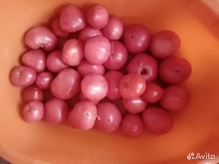 Помидоры