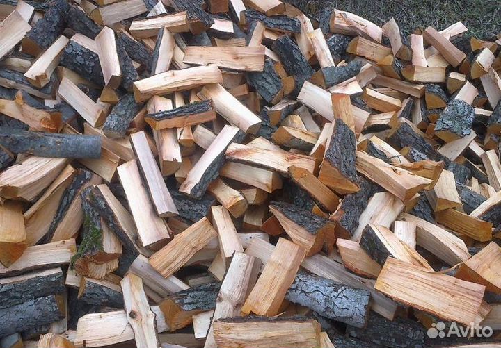 Дрова береза