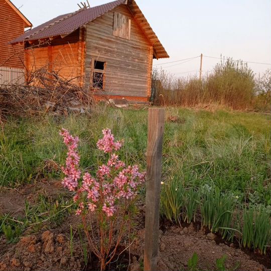 Участок 6 сот. (СНТ, ДНП)
