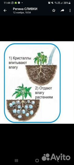 Торфяные таблетки