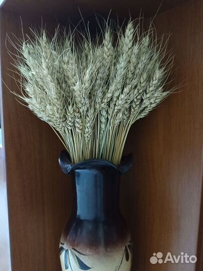 Колосья рожь/пшеница/сухоцвет