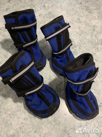 Сапоги для собак