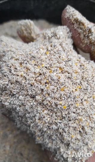 Рыболовная прикормка