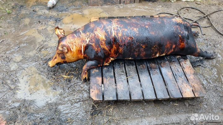 Домашнее мясо свинины