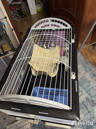 Клетка для грызунов ferplast Casita 80 78x48x50см