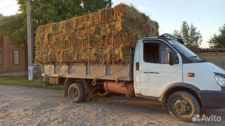 С доставкой