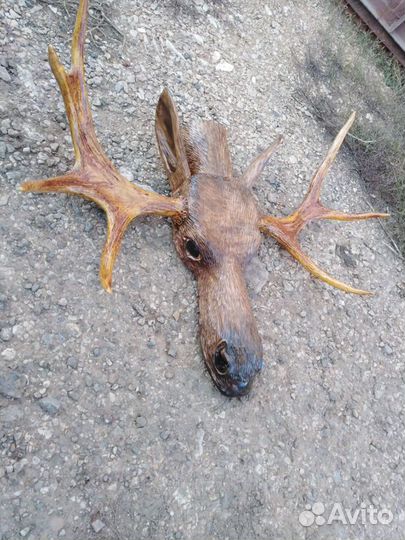Вешалка голова лося