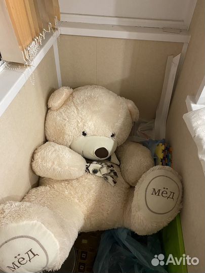 Плюшевый медведь