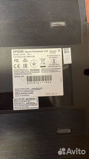 Сканер epson perfection v19