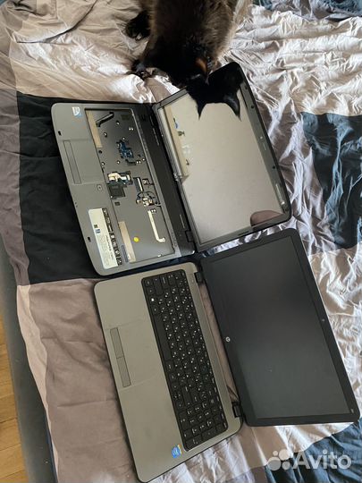 Asus ноутбуки на запчасти