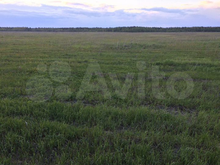 Участок 13,6 сот. (ИЖС)