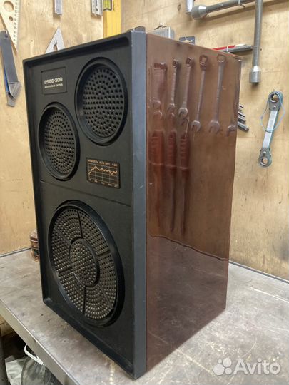 Корпус аккустической системы 25ас-309