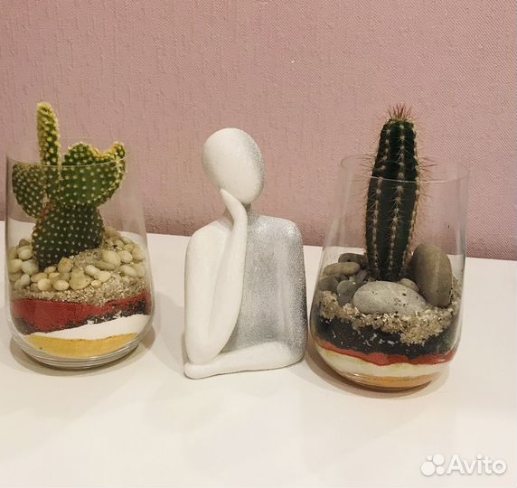 Флорариум Кактус