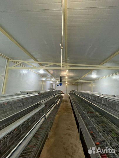 Клетка, оборудование для кролиководства