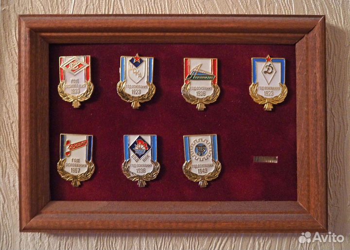 Набор значков дсо СССР