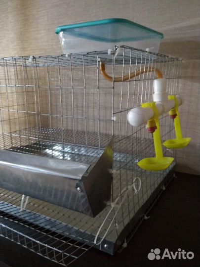 Клетка для перепелов