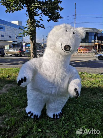 Белый мишка поздравление