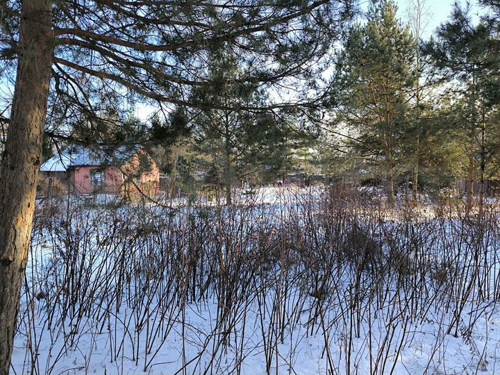 Участок 7 сот. (ИЖС)