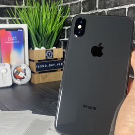 iPhone X, 256 ГБ