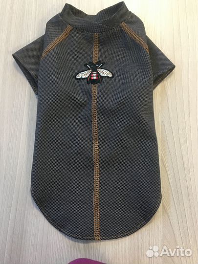 Одежда для собак