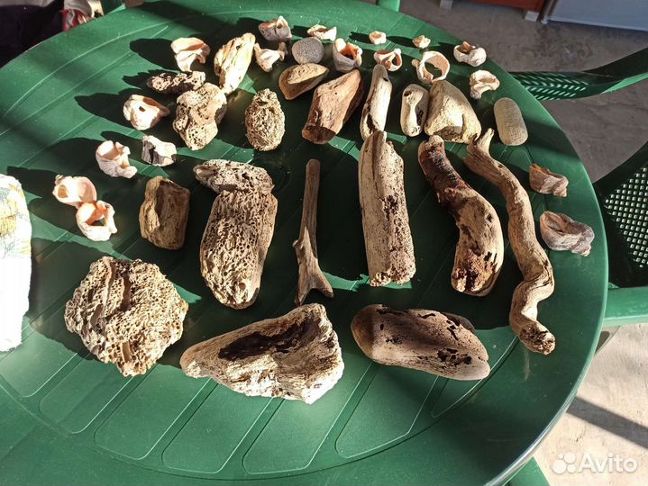 Морские коряги, ракушки, дрифтвуд для ключницы