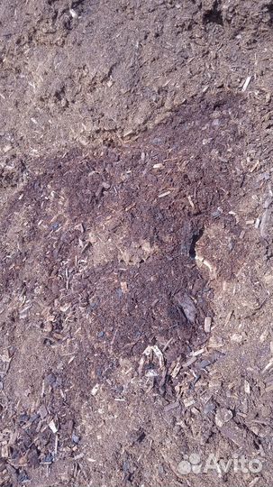 Перегной древесный из стружки и опилок