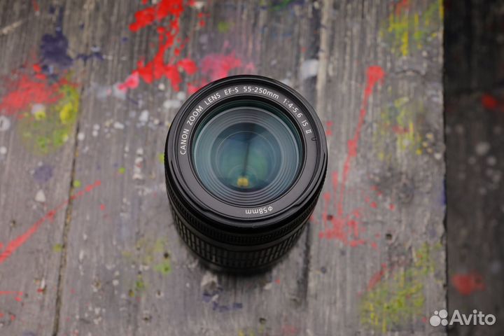 Canon EF-S 55-250mm f/4.0-5.6 IS II