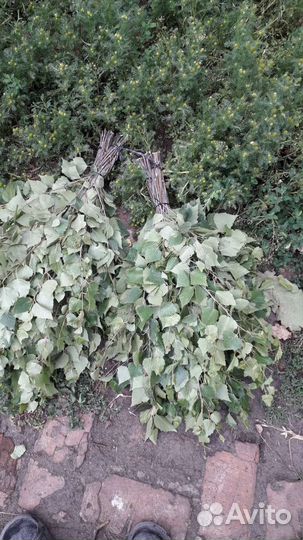 Банные веники